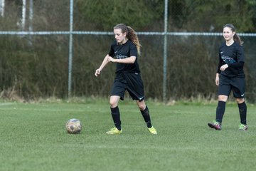 Bild 124 - C-Juniorinnen SV Steinhorst/Labenz - TSV Friedrichsberg-Busdorf : Ergebnis: 5:0